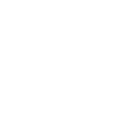 security security